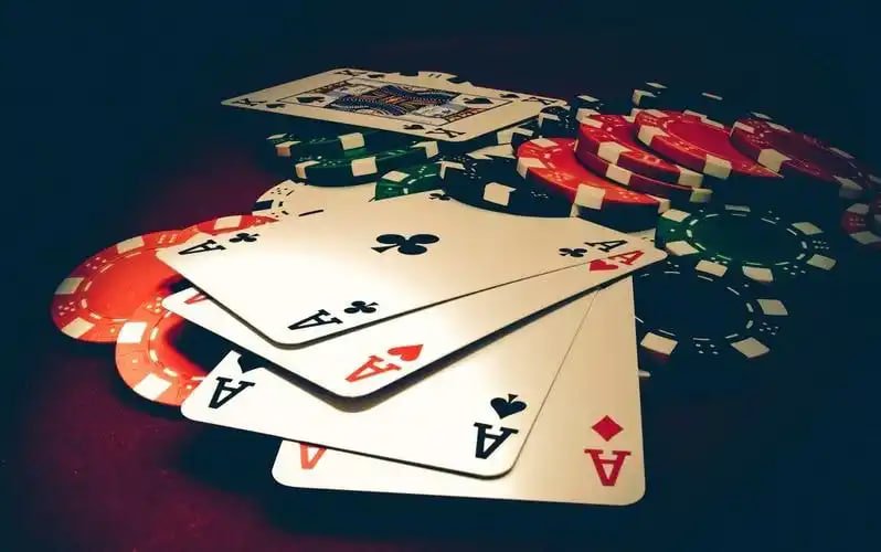 766bd VIP ও লয়্যালটি প্রোগ্রাম