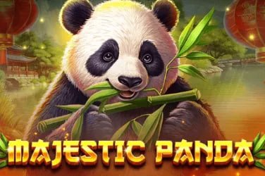 766bd লাইভ ক্যাসিনো ও স্পোর্টস বেটিং